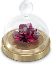 Swarovski Bell jar rose S 5619223