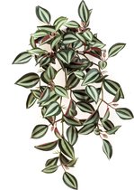 Kunst hangplant Tradescantia 40 cm groen/bordeaux