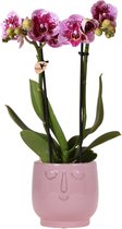 Kolibri Orchids | Roze paarse Phalaenopsis orchidee - El Salvador + Happy Face sierpot roze - potmaat Ø9cm - 40cm hoog | bloeiende kamerplant - vers van de kweker
