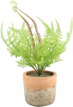 kunstplant Pteropsida 30 x 12 cm zijde groen