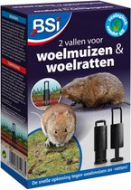 woelmuisval 12 x 6 x 19 cm zwart 2 stuks