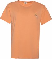 Protest Prtpalau t-shirt dames - maat xl/42