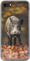 Geschikt voor iPhone SE 2020 hoesje - Wild dier - Bos - Herfst - Siliconen Telefoonhoesje