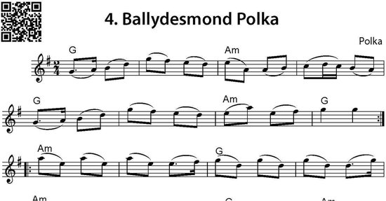 Muziekblad met de titel '4. Ballydesmond Polka' en bladmuziek.