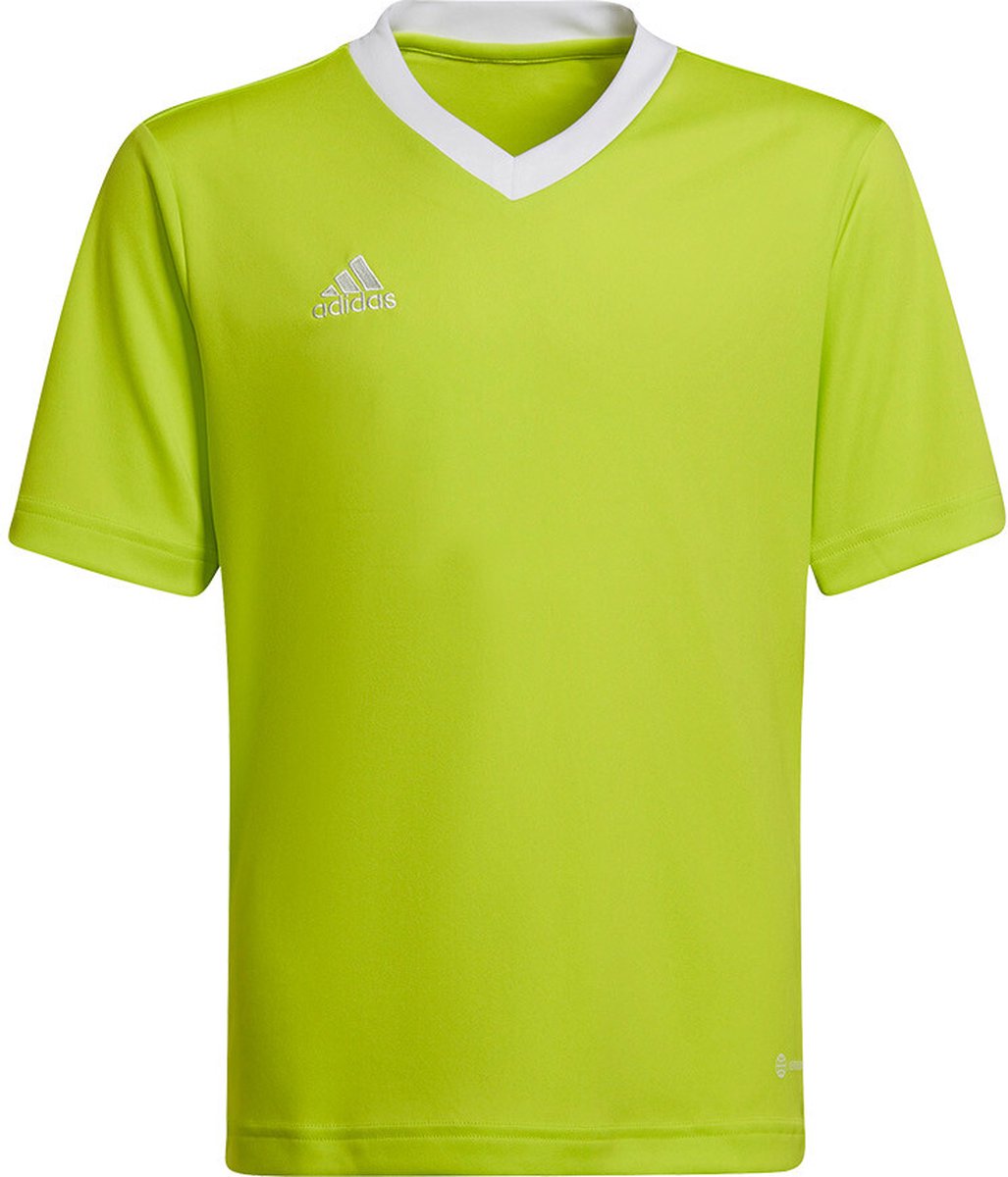 adidas - Entrada 22 Jersey Youth - Kids Groene Voetbalshirt -140