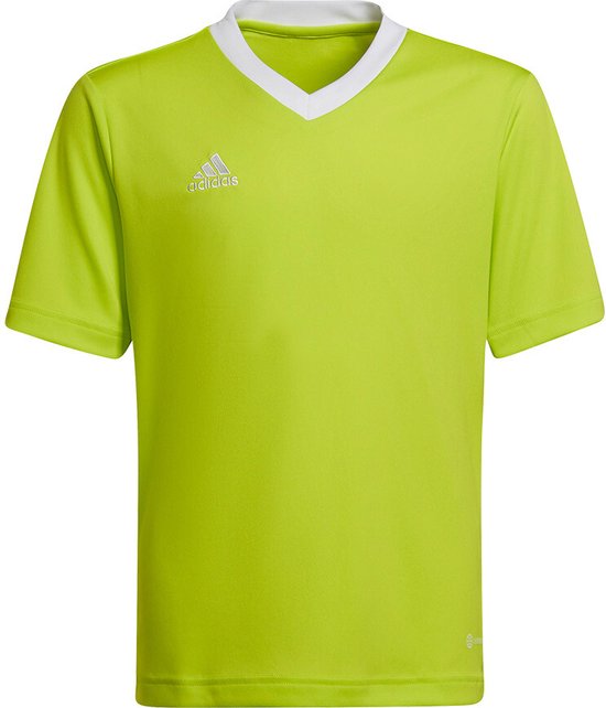 Adidas - Entrada 22 Jersey Youth - Kids Groene Voetbalshirt