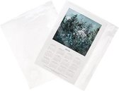 Plastic Zakken 22x14,5cm Transparant en Hersluitbaar (100 stuks)