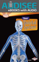 Searchlight Books ™ — How Does Your Body Work? - Your Skeletal System