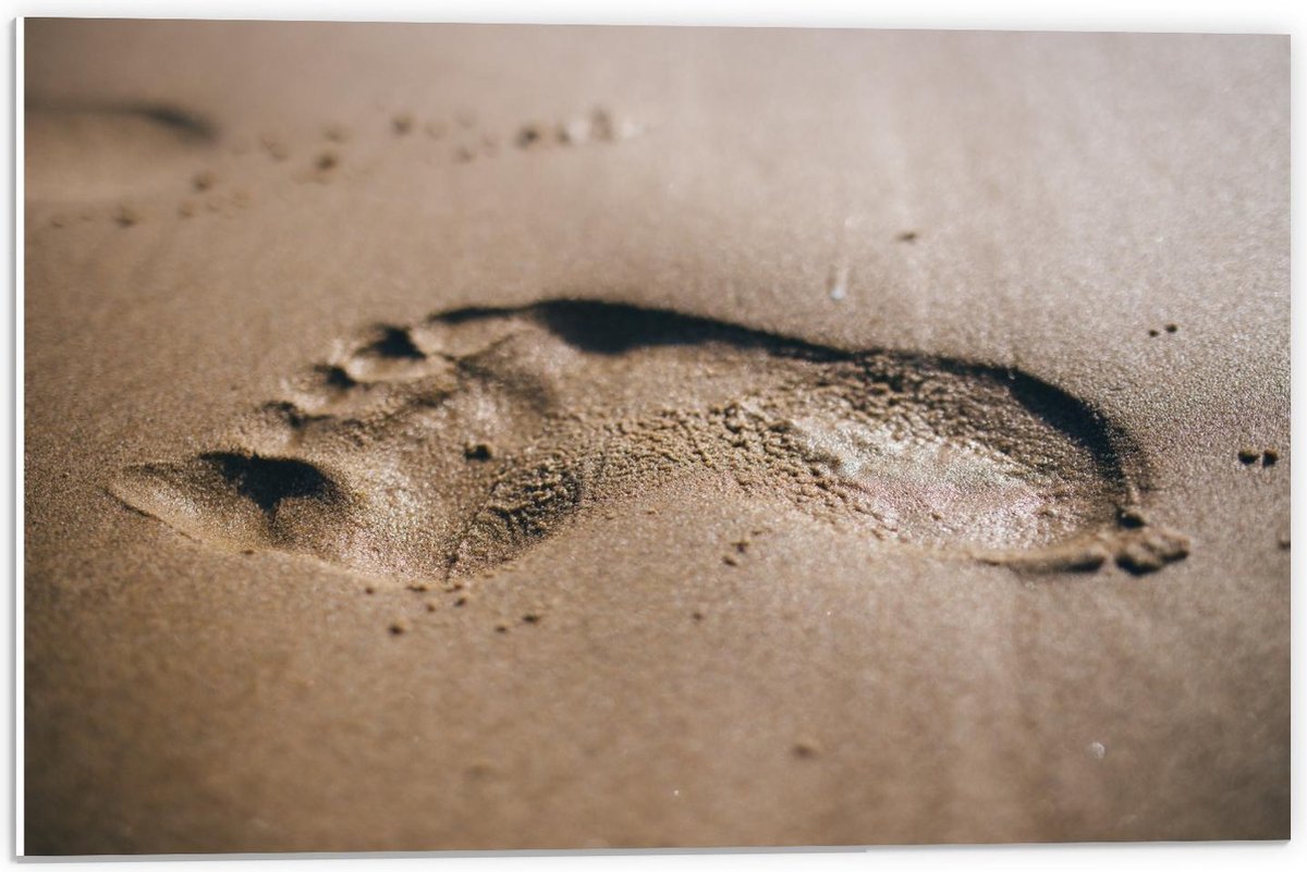 Forex - Voetafdruk in het Natte Zand - 60x40cm Foto op Forex op Prijzenvolger.com