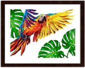 Foto in frame Kleurrijke papegaai, 3 maten, Premium print