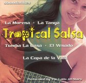 Tropical Salsa, Vol. 1