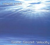 Michael Welsh: Some Secret Velocity
