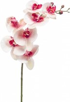 Phalaenopsis orchidee kunstbloem roze/wit 83 cm