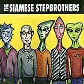 Siamese Stepbrothers