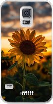 Samsung Galaxy S5 Hoesje Transparant TPU Case - Sunset Sunflower #ffffff