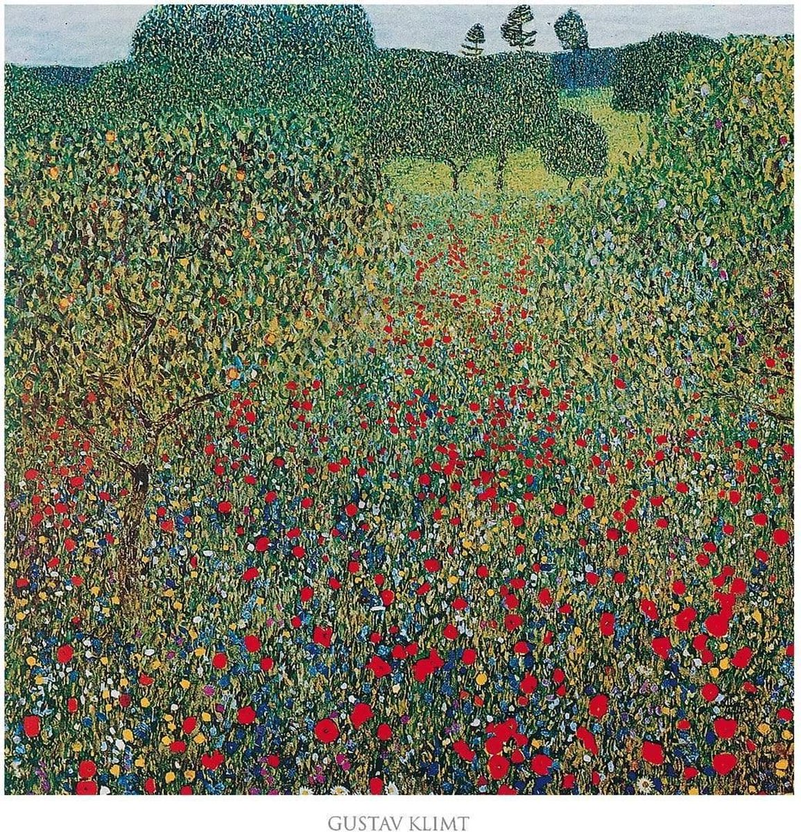 PGM Kunstdruk Gustav Klimt - Campo di papaveri 70x70cm Divers