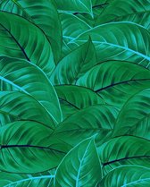Fotobehang - Jungle Leaves 200x250cm - Vliesbehang