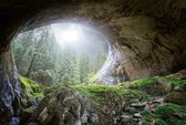 Fotobehang - Cave In The Forest 384x260cm - Vliesbehang