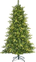 Black Box Trees Arbre de Noël artificiel Dayton avec Siècle des Lumières LED - H120 x Ø81 cm - Vert