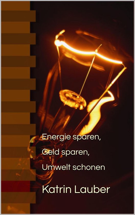 Energie sparen, Geld sparen, Umwelt schonen - cover