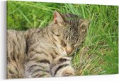 Schilderij - Kat in het gras — 90x60 cm