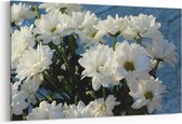 Schilderij - Witte bloemen — 90x60 cm