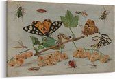Schilderij - Insecten en vruchten — 100x70 cm