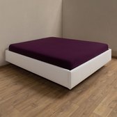 Dorsoo Hoeslaken Jersey Aubergine - B 080-090-100 x L 200-220 cm