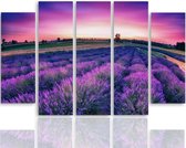 Schilderij , Lavendel Landschap , Paars roze ,4 maten , 5 luik , wanddecoratie , Premium print , XXL