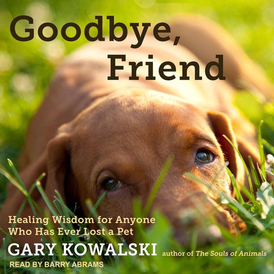 Goodbye, Friend - cover