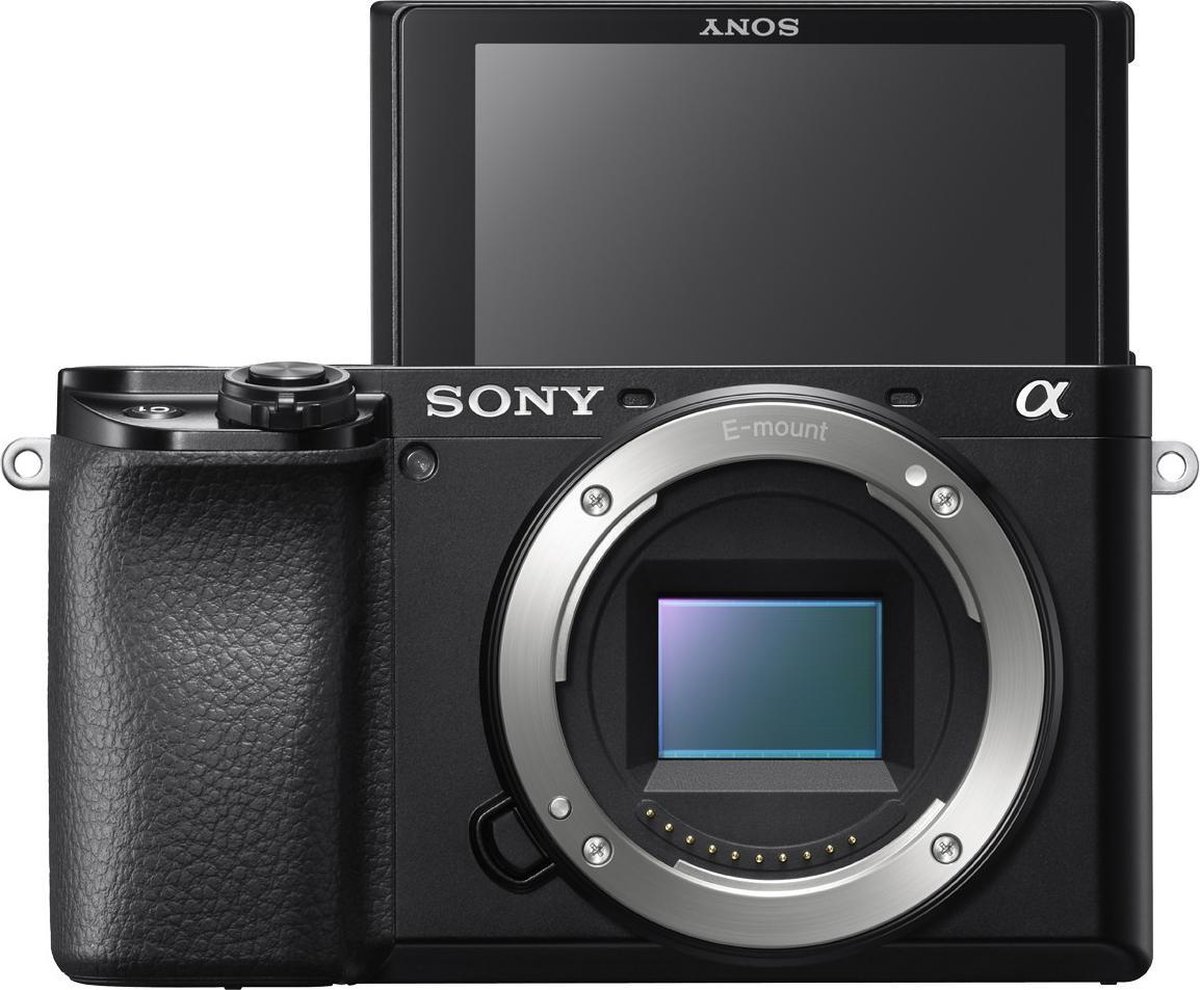 Sony Alpha A6100 + 16-50mm f/3.5-5.6 OSS + 55-210mm f/4.5-6.3 OSS