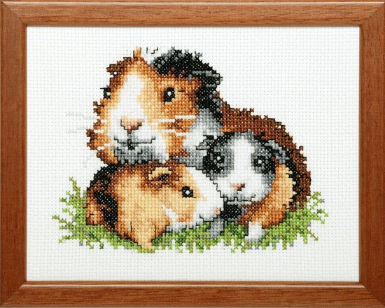 Pako Borduurpakket met telpatroon - Cavia 's - 210.869 - voorgesorteerd garen - Aida ivoor - 13 x 17 cm - DIY kit