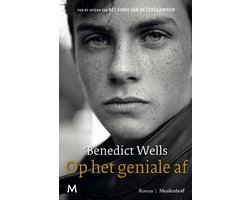Omslag van Op het geniale af