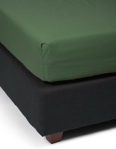 Essenza Premium - Coton percale - Drap housse - Extra High - Simple - 160x210 cm - Mousse