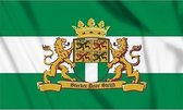 Vlag Rotterdam met leeuw