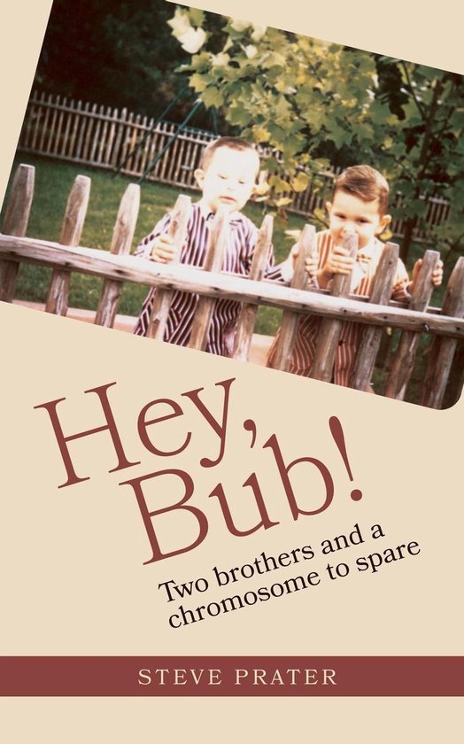Hey, Bub! - cover