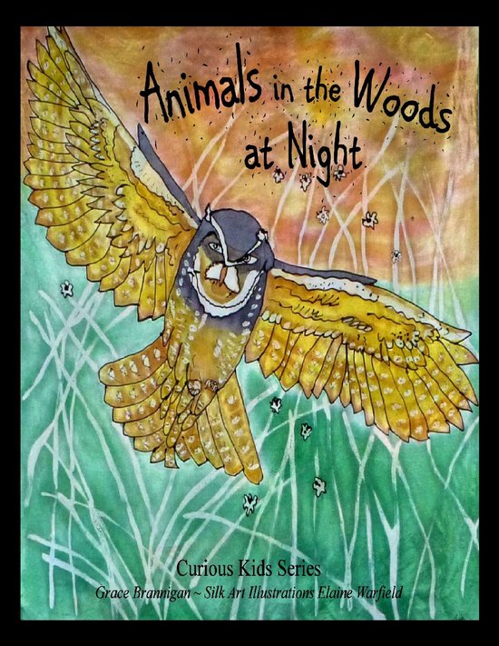 Curious Kids Series 2 - Animals in the Woods at Night - cover