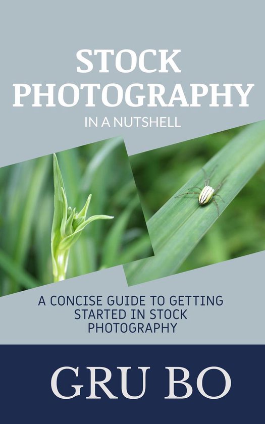 Stock Photography in a Nutshell: A Concise Guide to Getting  ... - cover