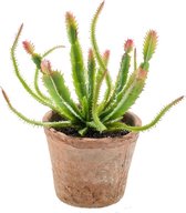 Kunstplant Euphorbia Cactus 23 cm groen/rood