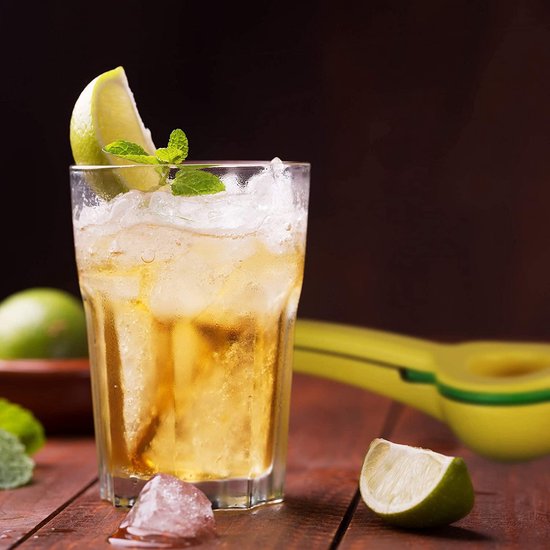 Relaxdays handmatige citruspers - frietsnijder - sinaasappelpers - roestvrij staal