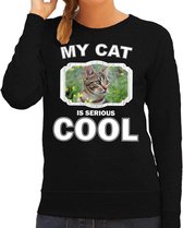 Bruine kat katten trui / sweater my cat is serious cool zwart - dames - katten / poezen liefhebber cadeau sweaters 2XL