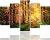 Schilderij , Zonnestralen in het bos , Multikleur ,4 maten , 5 luik , wanddecoratie , Premium print , XXL