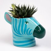 Fizzcreations Wilde Dieren Bloempot - Zebra