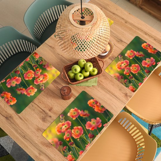 Placemats - 6 stuks - 45x30 cm - Placemat kunststof - Bloemenveld - Zonnestralen - Oranje - Borden onderleggers - Decoratie voor op tafel - Keuken tafeldecoratie accessoires - Vinyl onderlegger - Tafelversiering