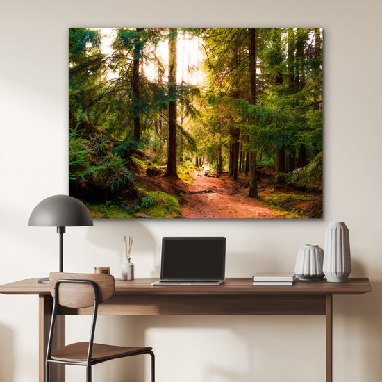 Aluminium schilderij 120x90 cm - Wanddecoratie metaal - Bos - Pad - Bomen - Groen - Zon - Natuur - Metalen muurdecoratie woonkamer - Decoratie industrieel - Foto op dibond - Industriële accessoires slaapkamer
