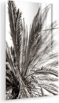 MuchoWow® Glasschilderij 20x30 cm - Schilderij acrylglas - Palmboom - Tropisch - Zwart - Wit - Foto op glas - Muurdecoratie woonkamer - Wanddecoratie slaapkamer - Schilderijen