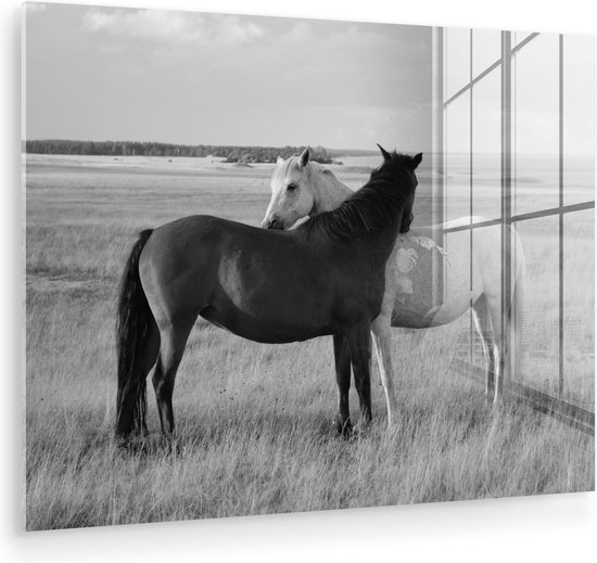 Peinture sur verre - Photo sur verre - Verre acrylique - Animaux - Paarden - Herbe - Nature - 160x120 cm - Peinture sur verre cheval - Peinture sur verre - Peinture sur verre animaux - Décoration murale - Chambre