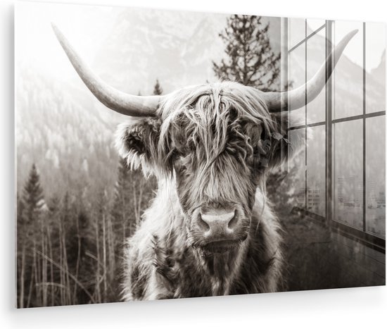 MuchoWow® Peinture sur Verre - Highlander écossais - Vache - Animaux - Zwart - Wit - 90x60 cm - Peintures sur Verre Acrylique - Photo sur Glas