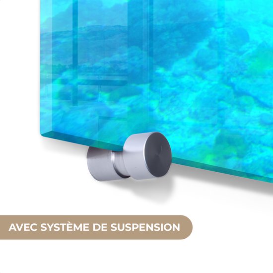 MuchoWow® Peinture sur Verre - Tortue - Mer - Blauw - 180x120 cm - Peintures sur Verre Acrylique - Photo sur Glas