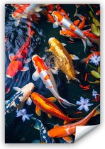 Koi Karper Poster - Koikarper - Vissen - Schilderij - Foto - Print - Groot - Canvas
